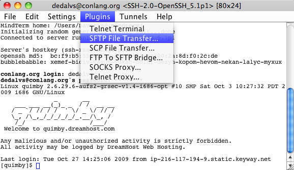 An image showing the user selecting SFTP File Transfer, the second option under the Plugins heading, which is the fourth option from the left.